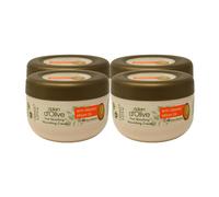 Dalan D'Olive Saborzando rpidamente la crema nutritiva con aceite de argn orgnico de 150 ml/5 fl oz (paquete de 4)