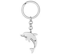 DALANE Acero Inoxidable Llaveros Delfín Tiburón Cangrejo Tortuga Caballito de Mar Llavero Vida Marina Joyas Regalos para Mujeres Niñas (Delfín Plateado)
