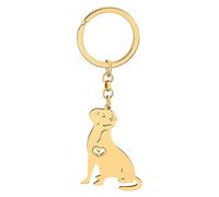 DALANE Llaveros Acero Inoxidable lindas Razas Perros Cachorro Pug Chihuahua Llavero Perro Mascotas Joyería Regalos para Mujeres Niñas (Labrador bañado en oro)