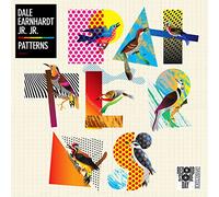 Dale Earnhardt Jr. Jr. - Patterns [Vinilo]