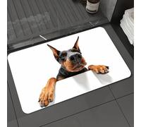 DALEXHM Alfombrilla de baño de microfibra Alfombrilla para pies Alfombra de baño Super Absorbente Alfombra de baño,Voy hacia ti. Primer plano de un dóberman pinscher trepador sobre fondo blan,60x100cm