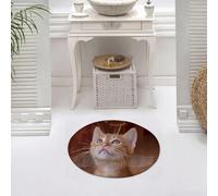 DALEXHM Alfombrilla de baño de Microfibra Alfombrilla para pies Alfombra de baño Super Absorbente Alfombra de baño,Animal, un Gatito ángel con alas y halo, Mirando al Cielo.,60x60cm