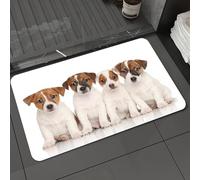 DALEXHM Alfombrilla de baño de Microfibra Alfombrilla para pies Alfombra de baño Super Absorbente Alfombra de baño,Grupo de Cachorros de Jack Russell Terrier Frente a un Fondo Blanco,60x100cm