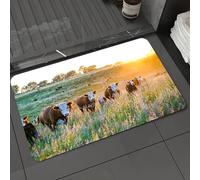 DALEXHM Alfombrilla de baño de Microfibra Alfombrilla para pies Alfombra de baño Super Absorbente Alfombra de baño,Ganado Vaca Nebraska Ganado Hereford Atardecer Naturaleza Campo Parques Gran,40x60cm