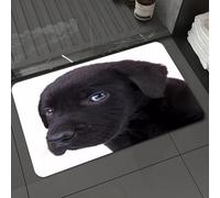 DALEXHM Alfombrilla de baño de Microfibra Alfombrilla para pies Alfombra de baño Super Absorbente Alfombra de baño,Lindo cachorrito de Labrador Retriever Negro Mirando a la cámara,60x100cm