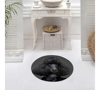 DALEXHM Alfombrilla de baño de Microfibra Alfombrilla para pies Alfombra de baño Super Absorbente Alfombra de baño,Hermoso caniche Negro sobre Fondo Gris,60x60cm