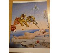 Dali - Rêve Causé Par Le Vol de una abeja alrededor de una manzana Granada una segunda delantero Awakening - 10 x 15 cm tarjeta postal