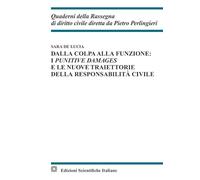 Dalla colpa alla funzione: i punitive damages e le nuove traiettorie della responsabilità civile (Quaderni della Rassegna di diritto civile)