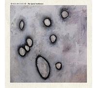 Dallas Acid - The Spiral Ambience