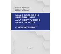 Dalle operazioni straordinarie alla costituzione delle holding. Il ruolo delle società di revisione legale