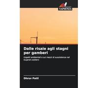 Dalle risaie agli stagni per gamberi: Impatti ambientali e sui mezzi di sussistenza nel Gujarat costiero