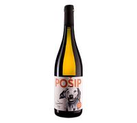 Dalmatia Testament The Dalmatian Dog Pošip 2024
