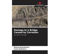 Damage to a Bridge Caused by Corrosion: Corrosion of the rebar