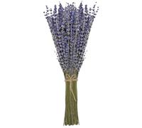 Damaiyyy Ramo de Lavanda Provenza - 100 Tallos de 42 cm de Largo - Flores Secas