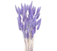 Damaiyyy Secas Naturales Cola de Conejo Flor,Hierba Seca de Cola de Conejo 60pcs Hierba de Pampas Secas para La Sala de Estar del Hogar Decoración de Racimos de Flores,Morado