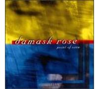 Damask Rose - Point of View