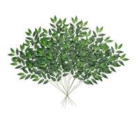 DAMAYKA 12 PZS Talos Artificiales de Follaje de Ruscus Italiano 60CM Plantas Falsas Ramas Verdes Ramita Arreglo Floral Aerosol Decoración para Hogar Centro de Mesa Relleno de Ramo de Arco Boda