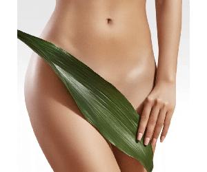 Damen Waxing - Hollywood ( Bikini Intim komplett )
