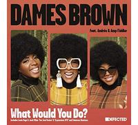 Dames Brown Ft. Andres & Amp Fidler - What Would You Do? (Remixes) [Vinilo]