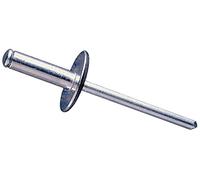 Damesa 19101273 - Pack de 200 remaches tubulares cabeza ancha (4.8 x 21 mm)