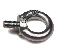 Damesa aem116 - Anilla elevación macho cincado din 580 aem m16