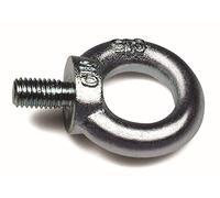 Damesa aem124 - Anilla elevación macho cincado din 580 aem m24