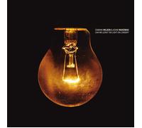 Damian Wilson & Adam Wakeman Can We Leave the Light On Longer? (Vinyl) 12" Album