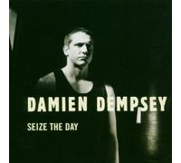 Damien Dempsey - Seize the Day - Damien Dempsey IRL 018