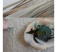 Damien Dubrovnik - Great Many Arrows [VINYL] [Vinilo]