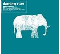 Damien Rice - Cannonball [DVD de Audio]