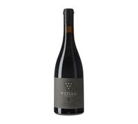 Damm Viña Vidal Ribeira Sacra 75 cl Vino tinto