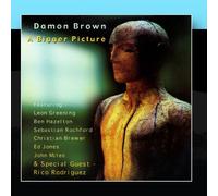 Damon Brown - A Bigger Picture