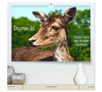 Damwild - stolze Tiere des Waldes hautnah (hochwertiger Premium Wandkalender 2026 DIN A2 quer), Kunstdruck in Hochglanz: Damwild in allen Lebenslagen beobachten Sie hier