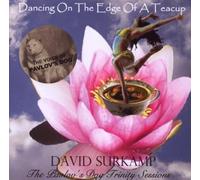 Dancing On The Edge Of A... by David Surkamp (2007-08-07)