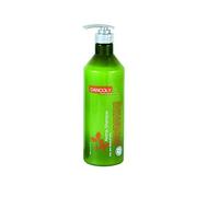 Dancoly Aroma Champú para cabello graso y caspa 1000 ml