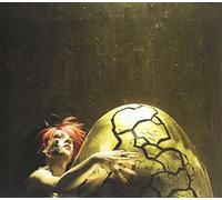 Dandi Wind - Yolk of The Golden Egg