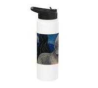 Dandie Dinmont Terrier Perro Van Gogh Noche Estrellada Stainless Steel Insulated Water Bottle