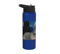 Dandie Dinmont Terrier Perro Van Gogh Noche Estrellada Stainless Steel Insulated Water Bottle