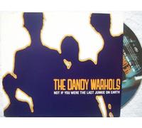 Dandy Warhols, The - Not If You Were the