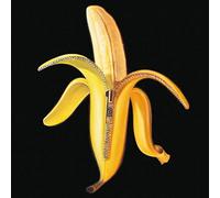 Dandy Warhols - Welcome To The Monkey House [180 gm LP Vinyl] [Vinilo]