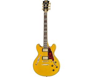 DAngelico Excel Mini DC Amber