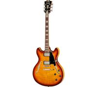 DAngelico Premier DC Dark Iced Tea Burst