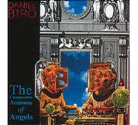 Daniel Biro - Comparative Anatomy of Angels