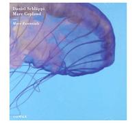 Daniel Schläppi basse - Daniel Schläppi & Marc Copland : More Essentials.