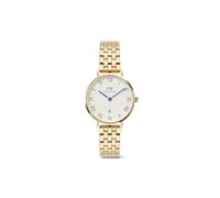 Daniel Wellington, Dorado, 28MM, Moderno