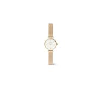 Daniel Wellington DW00100745 - Reloj Petite Mini Evergold Mujer