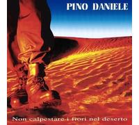 Daniele Pino - Non Calpestare I Fiori Nel Deserto [Vinilo]
