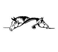 Danigrefinb Pegatinas y calcomanías para coche, creativas de dos caballos, gráficas divertidas, animales reflectantes, de PET para coche, color negro