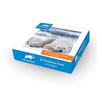 Danilo Promotions Animal Planet Box - Tarjetas de Navidad, 20 tarjetas, 4 diseños