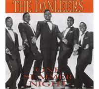 Danleers - One Summer Night
